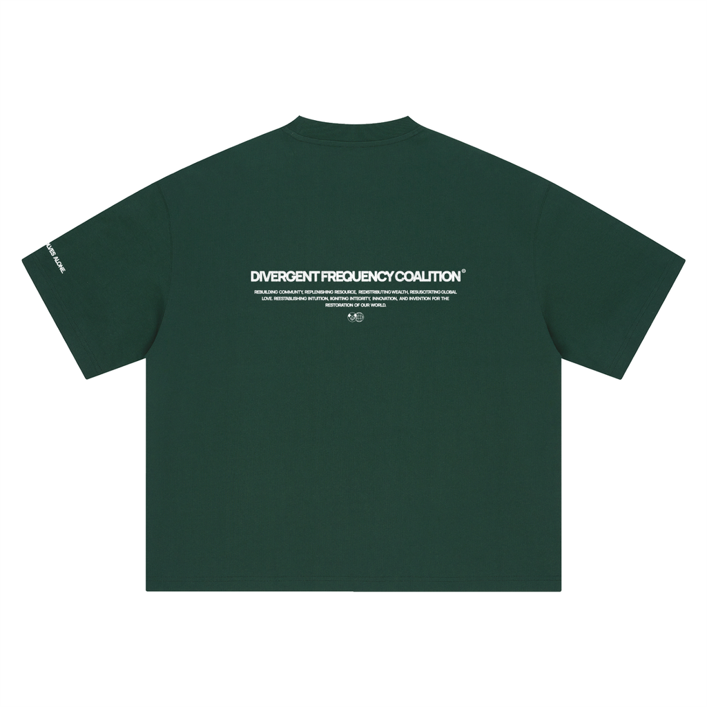 DIVERGENT FREQUENCY COALITION - BT0012