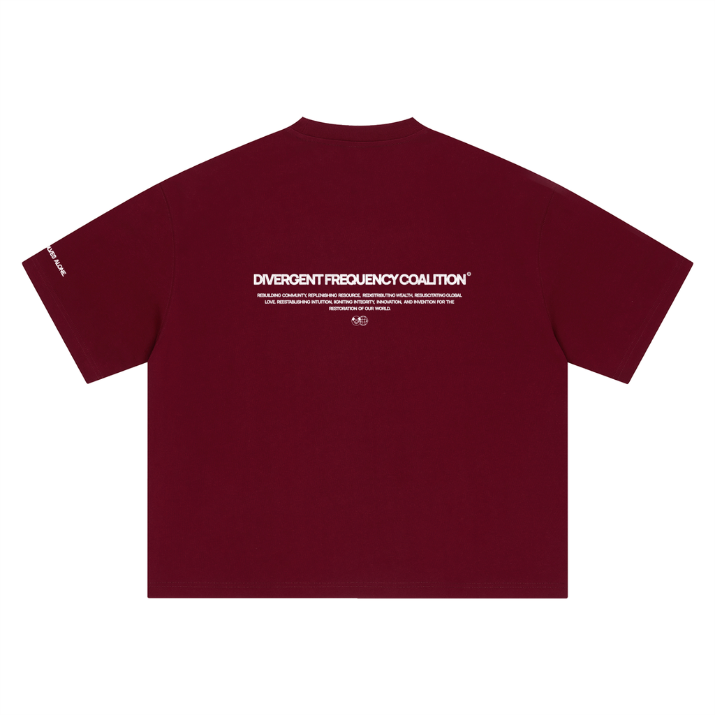 DIVERGENT FREQUENCY COALITION - BT0013
