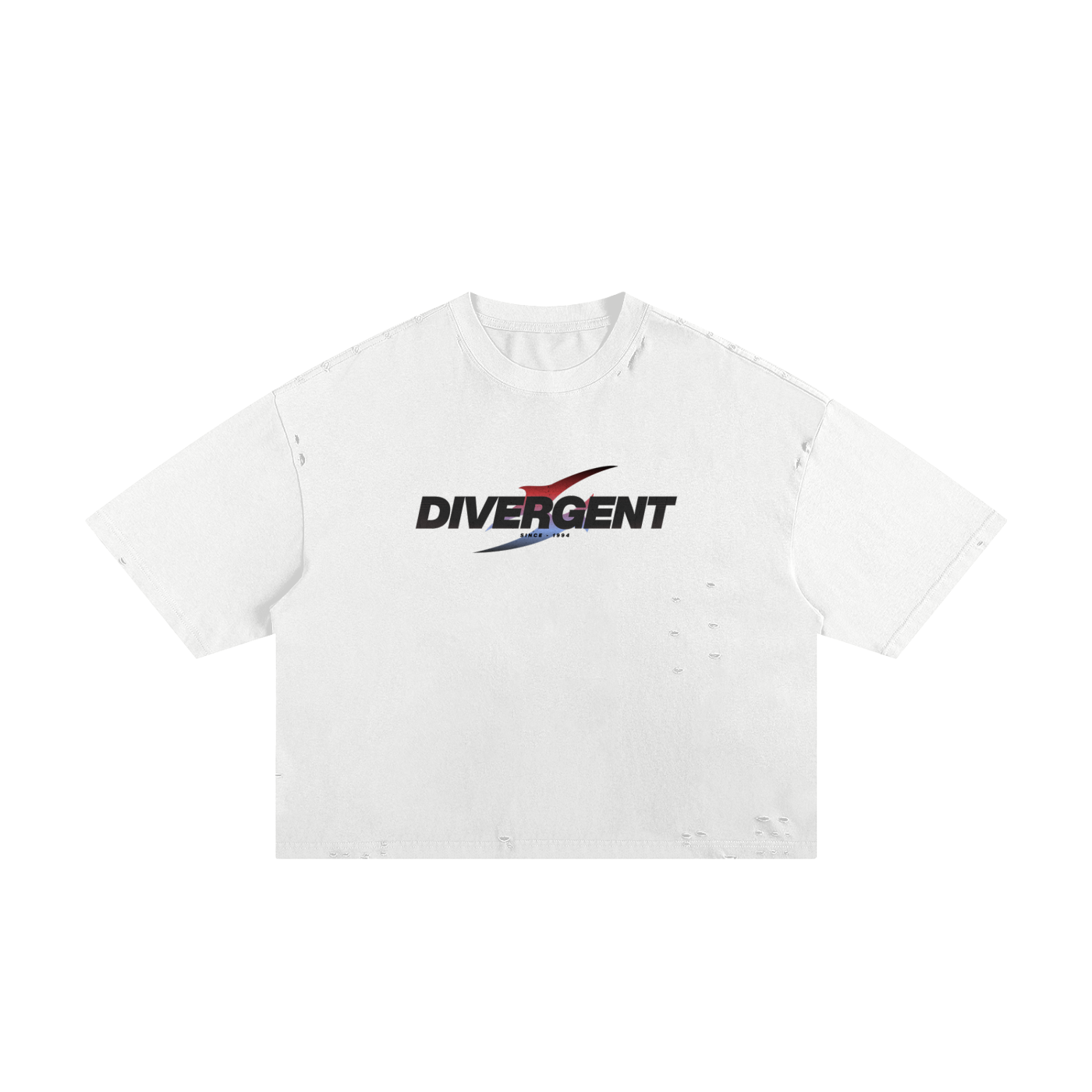 DIVERGENT Classic Frayed Boxy Tee