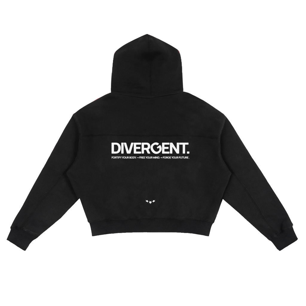 DIVERGENT - H002